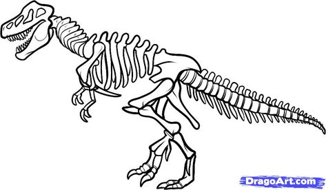 how to draw dinosaurs | how to draw a dinosaur skeleton, dinosaur skeleton step 9 Dino Museum, Bone Drawing, Skeleton Drawings, Dinosaur Drawing, Dinosaur Pictures, Dinosaur Skeleton, Dinosaur Coloring Pages, Dinosaur Coloring, Dinosaur Bones