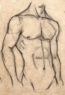 Sketches Of Male Bodies, Sketch Body Male, Ideal Man Drawing, Sketches Bodies, Men Drawing Sketches, Sketches Of Bodies, Abs Drawings, Body Drawing Male, Male Body Sketches