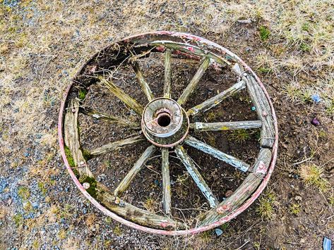 Wagon Wheel Ideas Diy Projects, Steel Wagon Wheel Ideas, Old Wheel Ideas, Wagon Wheel Decor Indoor, Old Wagon Wheel Ideas, Metal Wagon Wheel Ideas, Wagon Wheel Decor Outdoor, Wagon Wheel Garden, Vintage Wagon Wheel