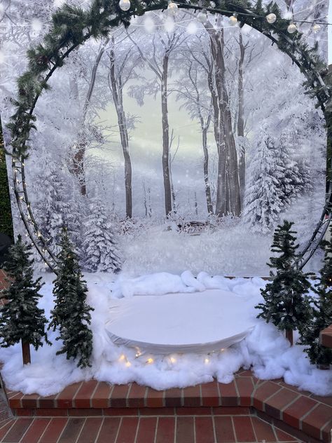 Winter Wonderland Archway, Diy Snowglobe Photo Booth, Snowglobe Backdrop, Snow Globe Photo Booth Diy, Snowglobe Photo Booth, December Party Themes, Winter Wonderland Banquet, Snow Party Decorations, Winter White Christmas Decor