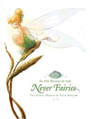 pixie hollow illustration | In the Realm of the Never Fairies: A Picture Book Review | Miss Print Never Fairies, Tinkerbell 3, Disney Fairies Pixie Hollow, Famous Fairies, Tinkerbell And Friends, Peter Pan And Tinkerbell, Enchanted Wood, Pixie Hollow, The Secret World