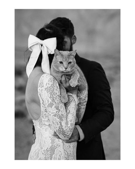 I’m cat-sitting this week so let’s talk about eloping with pets! There’s nothing quite like inviting your furriest family members on your photoshoots. Or yes, even on your wedding day! So how can you make the most out of bring your pet along on the big day? 🐱 Bring a leash 🐈 Check local restrictions 🐈‍⬛ Be wary of triggers 🐱 Check the weather 🐈 Bring toys and treats 🐈‍⬛ Be prepared for candids 🐱 Bring a lint roller and disposable baggies 🐈 Be patient and have fun Would you bring your pet... Wedding Cat Ideas, Cat In Wedding, Cats Wedding, Wedding With Cats, Cat At Wedding, Cat Wedding Ideas, Wedding Photos With Pets, Cat Wedding Pictures, Cat Wedding Photos