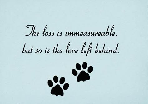 Losing A Dog Quotes, Losing A Pet Quotes, Dog Heaven Quotes, Cool Animal Tattoos, Miss My Dog, Dog Poems, Pet Quotes, Animal Tattoo Ideas, Pet Sympathy Cards