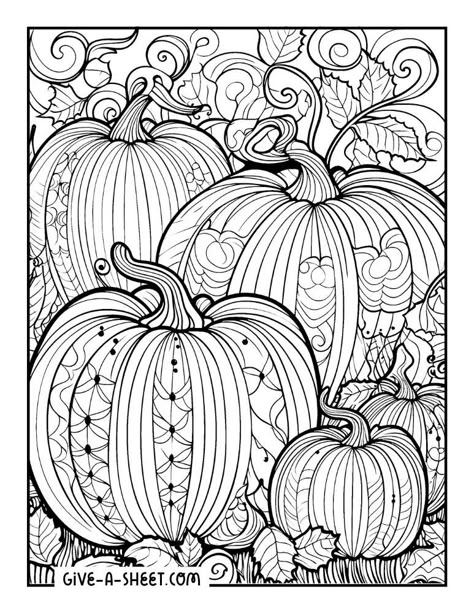 Pumpkin halloween zentangle coloring sheet. Pictures To Color For Adults, Fall Zentangle Patterns, Halloween Zentangle Patterns, Fall Pumpkin Coloring Pages, Zentangle Pumpkins Art, Pumpkin Mandala Coloring Pages, Pumpkin Zentangle, Autumn Coloring Pages For Adults, Halloween Zentangle