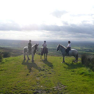 Ennis Ireland, Surprise Birthday Trip, Horseback Riding Vacations, Sister Trip, Riding School, Uk Holiday, Horse Trail, Ireland Trip, Horse Pony