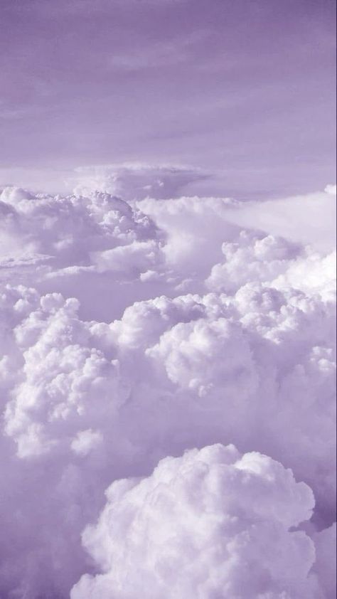 Aesthetic Lavender Wallpaper Iphone, Lilac Lavender Aesthetic, Lavender Astethics, Ipad Wallpaper Aesthetic Lavender, Ipad Background Aesthetic Purple, Lavender Phone Aesthetic, Ipad Wallpaper Aesthetic Lilac, Lavender Asthetic Wallpers, Lavender Colour Aesthetic