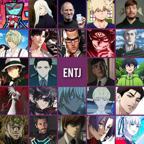 Entj Personality Characters, Entj Anime Characters, Mbti Anime Characters, Entp Anime Characters, Entj Male, Entj Characters, 16 Personalities Enfp, Entj Aesthetic, Intp Characters