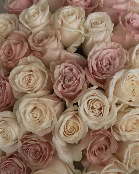 Pink And Beige Phone Layout, Light Pink And Beige Aesthetic, White And Pink Roses Aesthetic, Pink And White Roses Aesthetic, Light Pink Asthetics Photos, Rose Beige Aesthetic, Beige Rose Aesthetic, Cream And Pink Aesthetic, Pink Cream Aesthetic