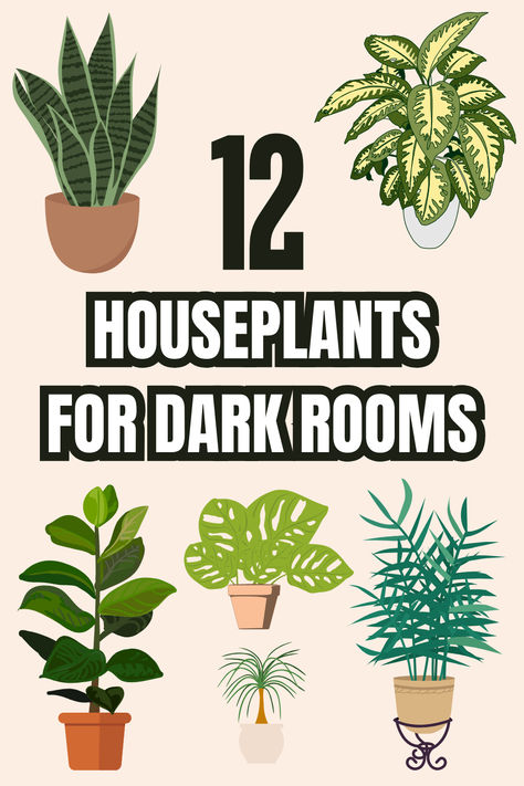 "Discover the beauty of 12 Low Light House Plants that thrive in minimal  sunlight! Perfect for Indoor Plant Decor, these Low Light Indoor  Plants are ideal for any home. Explore easy care options with Easy  House Plants that enhance your space while requiring little light. From  Household Plants to expert Plant Care, learn how to nurture your  Inside Plants effortlessly. Transform your home with these stunning  Indoor Plants that flourish in low light conditions!" Good House Plants Low Lights, Houseplants For Dark Rooms, Live Plants In Bedroom, Best Low Light House Plants, Easy Low Light Plants, Indoor Plants With Grow Lights, Good Indoor Plants Low Lights, Plants That Grow In Dark Rooms, Live Hanging Plants Indoor