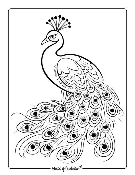 Peacock Outline Images, Peacock Outline Drawing, Peacock Drawing Images, Peacock Drawing Easy, Cloisonne Painting, Peacock Outline, Animal Base, Peacock Coloring Pages, Flower Pattern Design Prints