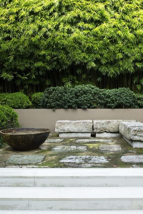 6 Best Japanese Inspired Garden Design Ideas | Homes To Love Japandi Garden, Sustainable Garden Ideas, Melbourne Garden, Japanese Inspired Garden, Japanese Plants, Japanese Style Garden, Japanese Garden Ideas, Small Japanese Garden, Bamboo Screening