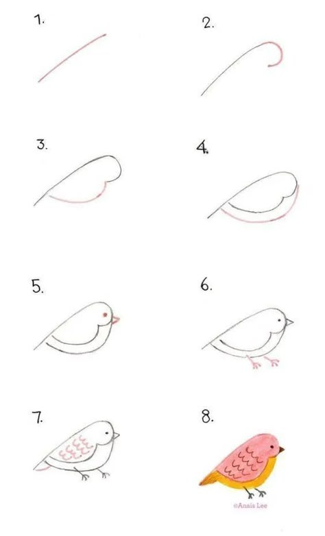 40 Easy Drawing Ideas for Beginners #drawings #sketchbook // Things to draw, easy things to draw, animal drawing, bird drawing Anais Lee, How To Draw Birds, Draw Birds, Bullet Journal Doodles, Bird Drawings, Journal Doodles, Drawing Skills, Drawing Lessons, Step By Step Drawing