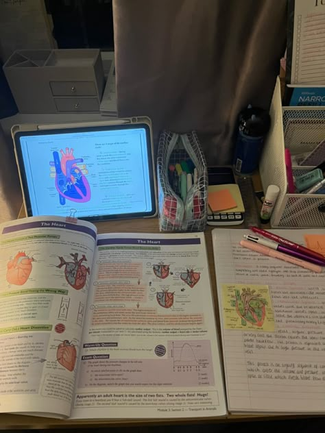 Book And Bed, Nursing School Inspiration, Biology Major, Nursing Motivation, A Level Biology, Study Biology, Nursing School Motivation, Medical School Life, Medical Student Motivation