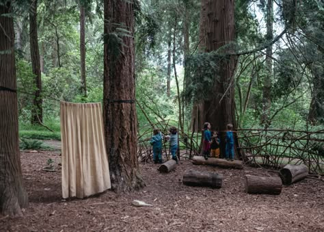 Outdoor Preschool, Forest Classroom, Nature Playground, Forest Kindergarten, Space Play, Los Padres National Forest, Outdoor Play Space, Forest School Activities, Play Garden