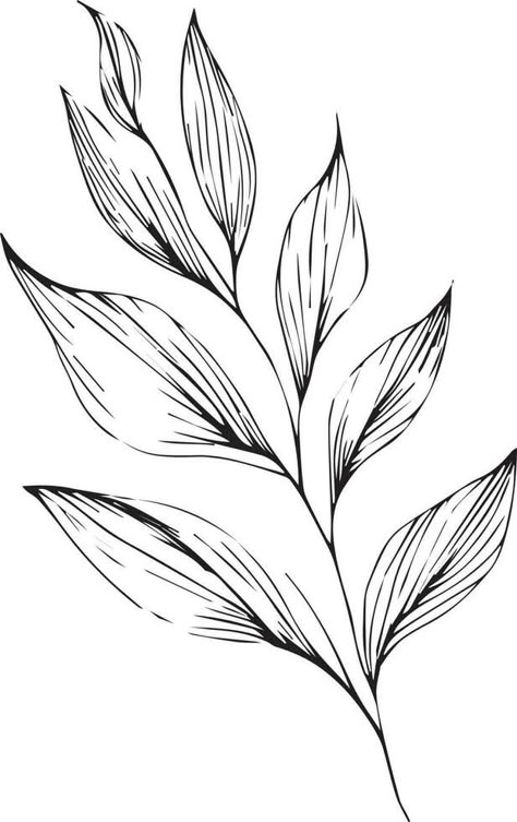 Monochrome vector sketch, botanical leaf sketch,  botanical leaf vector art,  natural leaf collection, illustration botanica art decor, plant leaf drawing, Jungle Vines Drawing, Leaves Drawing Sketches, Plant Leaf Drawing, Leave Sketch, Drawing Foliage, Watercolour Nails, Sketch Botanical, Outline Leaves, Plants Sketch