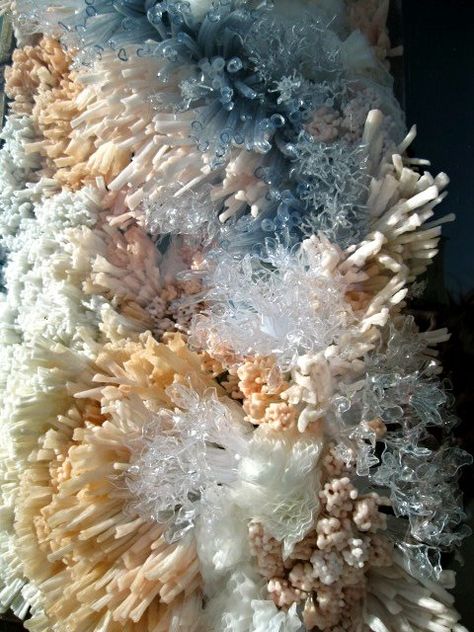 Anthropologie Window Display, Anthropologie Display, Creative Event, Sea Theme, Coral Reefs, Window Displays, Natural Forms, Coral Reef, Window Display