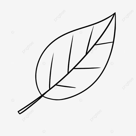 leaf clipart black and white,leaf,clipart,line draft,ordinary,ecology,leaf clipart,black clipart,white clipart Image Of Leaf, Small Leaves Drawing, Leaf Aesthetic Drawing, Simple Leaf Outline, Easy Leaves Drawing, Small Lips Drawing, How To Draw Leaf, Leaves Drawing Sketches, How To Draw A Leaf