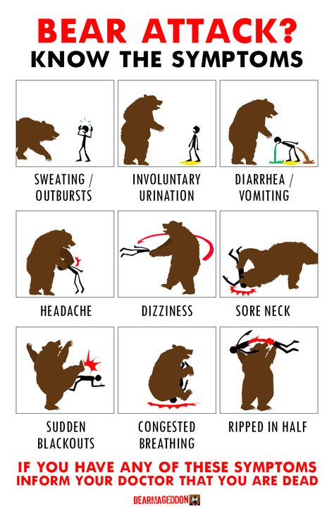 Bear Attack, Survival Life Hacks, Funny Bears, Bear Pictures, Survival Life, Survival Tips, Survival Skills, Funny Signs, The Bear