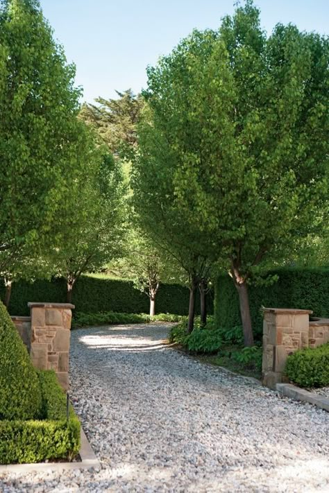 Driveway Entrance Landscaping, Long Driveway, Tree Lined Driveway, Driveway Ideas, Driveway Entrance, Driveway Design, Long Driveways, Driveway Landscaping, Gravel Path