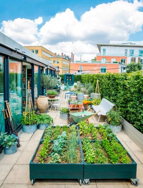 Urban Retreats: 10 Dreamy Rooftop Gardens | Apartment Therapy Rooftop Garden Urban, Roof Garden Design, Rooftop Terrace Design, Rooftop Design, Have Inspiration, Terrace Design, Rooftop Garden, Garden Landscape, Apartment Garden