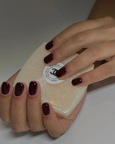 The Most Popular Nail Colours of 2024 as Chosen by an Expert | Who What Wear Black Cherry Nail Color, Vamp Nail Polish, Black Cherry Nails, Dark Red Nail Polish, Neutral Nail Color, Oval Shaped Nails, Popular Nail Colors, March Nails, Wine Nails