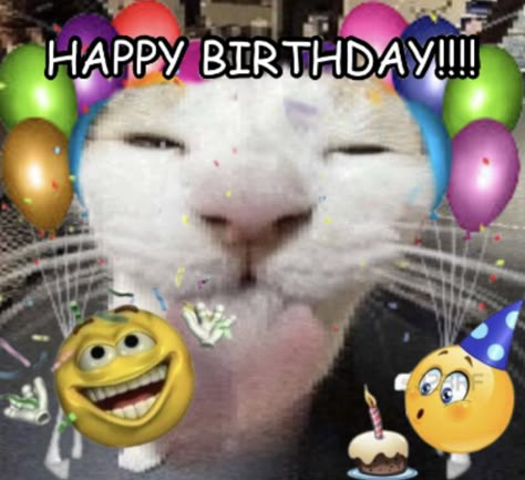 Happy Birthday Cat Meme, Happy Birthday Reaction Pic, Happy Bday Meme, Birthday Reaction Pic, Silly Happy Birthday, Happy Birthday Wishes For Friend, Cat Birthday Funny, Enjoy Your Special Day, Happy Birthday Cat