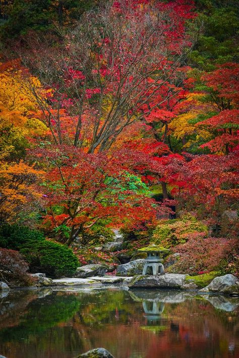 Seattle Autumn, The Palouse, Mountain Scenes, Eastern Washington, Autumn Scenes, Colorful Trees, Autumn Scenery, Amazing Pics, Coastal Beaches