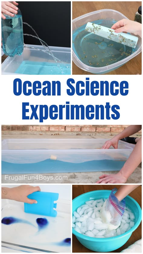 Ocean Science Experiments, Ocean Science Activities, Ocean Activities Preschool, Ocean Lesson Plans, Ocean Unit Study, Water Science Experiments, Scuba Vbs, Ocean Theme Preschool, Ocean Habitat