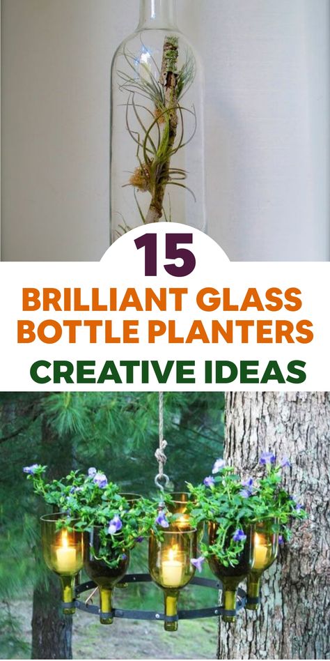 Enhance your plant collection with creative glass bottle planters! Upcycle simple bottles into beautiful, eco-conscious pots for your beloved plants. Explore our detailed tutorials to design one-of-a-kind arrangements that will invigorate any room. Find inspiration to showcase your plants beautifully! Bottle Planters, Creative Planters, Wine Bottle Garden, Wine Bottle Candle Holder, Growing Poppies, Wine Bottle Planter, Wine Bottle Centerpieces, Bottle Trees, Plants In Bottles