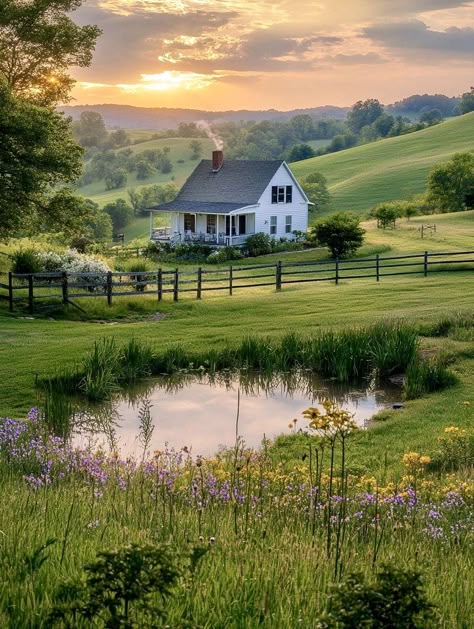 House In Middle Of Forest, Old House Landscape, Small House On Land Country, Beautiful Country House, Country Cottage Backyard, Farm Field Aesthetic, Country House Landscape, Country House With Land, Houses In The Middle Of Nowhere