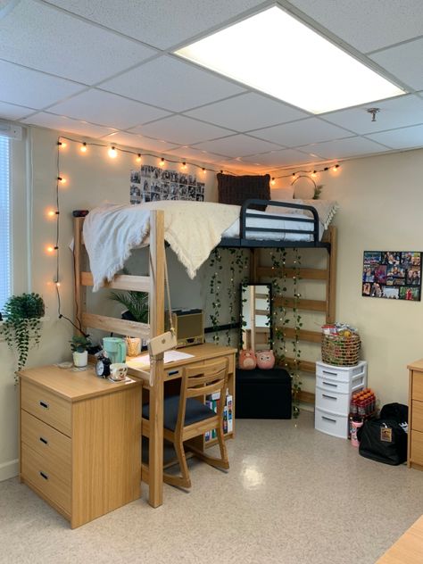 College Dorm Room Ideas Lofted Beds Aesthetic, Loft Bed Ideas Dorm, Dorm Room Loft Bed Layout, College Dorm Loft Bed Ideas, Dorm Room Inspo Lofted Bed, Dorm Room Ideas With Lofted Bed, Lofted Bed With Desk Underneath Dorm, Double Bunk Bed Dorm Room Ideas, Desk Under Bed Dorm