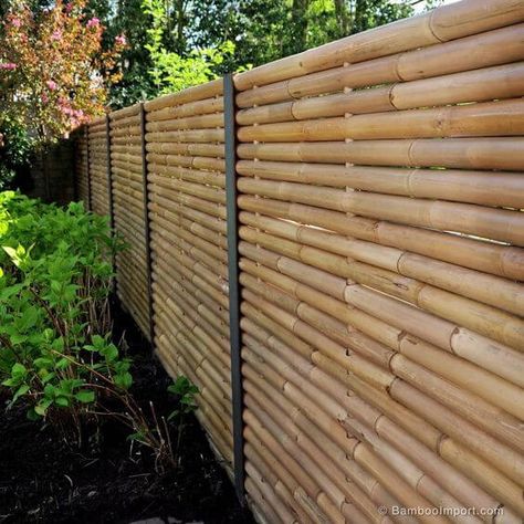 project Bamboo Screening Fence, Bamboo Privacy Fence, Pagar Modern, Bamboo Garden Fences, Giant Bamboo, Diy Bamboo, Bamboo Ideas, Bamboo Diy, Bamboo Privacy