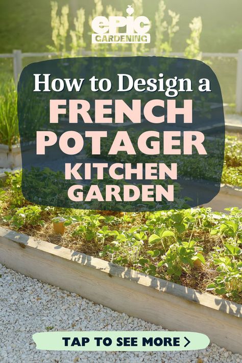 Is a new kitchen garden on your list of additions to your garden this year? A French potager is a beautiful way to incorporate edibles into your garden design. In this article, our gardening expert will share her gardening tips for advanced and beginner gardeners on how to design a French potager kitchen garden. Get started on creating your dream garden today! Courtyard Kitchen Garden, French Potager Garden Design, Kitchen Garden Layout Design, French Garden Ideas Provence France, Potager Garden Layout, French Vegetable Garden, French Potager Garden, French Kitchen Garden, Potager Garden Design