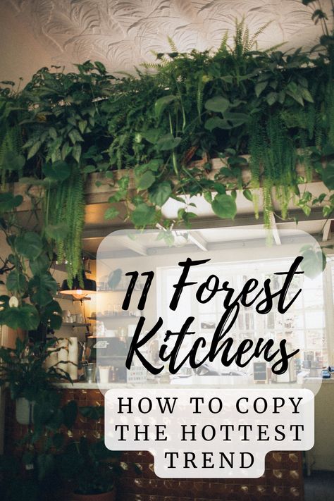 a forest kitchen with a wall of green plants above a window Dark Green Kitchen Accents, Hunter Green Kitchen Ideas, Dark Boho Kitchen Decor, Green Dark Kitchen, Dark Green Cottage Kitchen, Nature Kitchen Decor, Kitchen Ideas Moody, Eclectic Kitchen Green, Garden Theme Kitchen