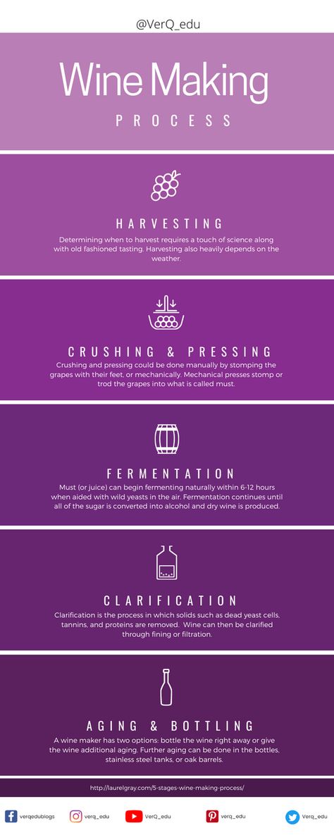 How To Make Wine At Home, Library Speakeasy, Wine Process, Winery Business, Wine Business, Wine Facts, Wine Making Process, Wine Sommelier, Making Wine