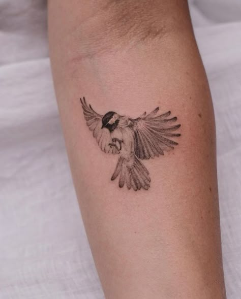 Sparrow Tattoo Ideas, Realistic Bird Tattoo, Finch Tattoo, Chickadee Tattoo, Bird Shoulder Tattoos, Sparrow Tattoo Design, Bird Tattoo Sleeves, Bird Tattoos Arm, Little Bird Tattoos