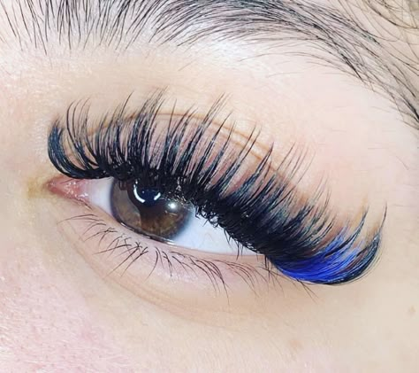 Kiss Lash Extensions, Eye Lash Design, Natural Fake Eyelashes, Lash Ideas, Lashes Fake Eyelashes, Kiss Lashes, Color Extensions, Cat Eye Lash, Eyelash Extensions Styles