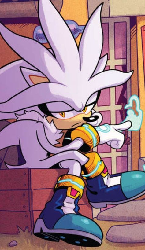 Game Sonic, Sonic Heroes, Silver The Hedgehog, Sonic Funny, Sonic Fan Characters, Blue Hedgehog, Sonic Franchise, Sonic 3, Hedgehog Art