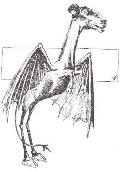 5E Fearsome Critters: LEEDS DEVIL (TERATOS INCOMPREHENSIBILIS) The Jersey Devil, Mythical Monsters, Evil Demons, Fantasy Tattoos, Humanoid Creatures, Fear Of Flying, Loch Ness Monster, Jersey Devil, New Jersey Devils