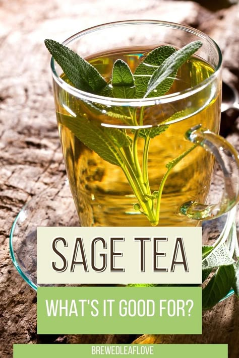 Homemade Tea Blends, Chest Congestion Remedies, Congestion Remedies, Tea Blends Recipes, Sage Recipes, Herbal Tea Garden, Cold And Cough, Sage Tea, Chest Rub