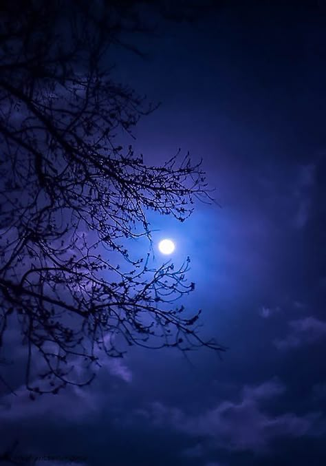 Beautiful Moon Pictures, Photo Bleu, Mystic Moon, Moon Images, The Dark Night, Moon Pictures, Moon Photography, Moon Light, Moon Night