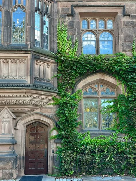 #university #princeton #school #usa #new #newyorkcity Princeton University Aesthetic Campus, Private University Aesthetic, Prinston University, Princeton University Aesthetic, Princeton Aesthetic, Ilvermorny Aesthetic, College Campus Aesthetic, Princeton University Campus, Ivy League Acceptance