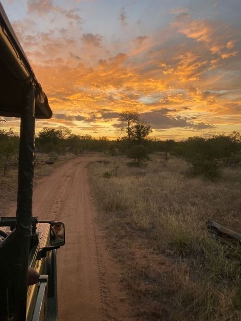 Australia Safari, Farm South Africa, Africa Aesthetic, South Africa Vacation, African Safari Animals, Africa Holiday, Africa Vacation, African Savanna, Africa Trip