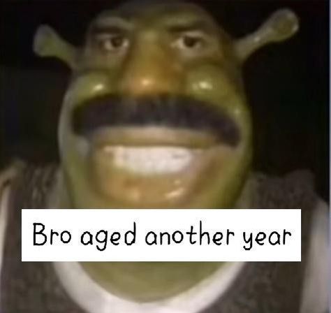 Happy Birthday Friend Memes, Its My Birthday Meme Funny, Happy Birthday Reaction Pic Funny, Goofy Birthday Wishes, Birthday Cursed Image, Go Shawty Its Your Birthday Meme, Birthday Wishes Memes Funny, Shrek Happy Birthday Meme, Happy Birthday Funny Pictures