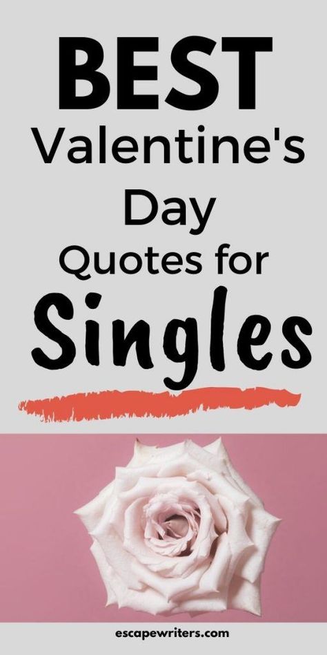 Don't you find a valentine? If you are alone on this valentine' day then read these best quotes about being single on Valentine's day. These quotes makes you feel that singlehood is not bad and girlfriend or boyfriend is not that important as you in your life.#valentinesday#quotes #love #single Being Single On Valentines Day Funny, Happy Valentine’s Quotes, Valentine’s Day Single Quotes, Funny Valentines Day Quotes Single Jokes, Valentines Single Humor, Single Valentines Day Quotes Funny, Anti Valentines Day Quotes Hilarious, Single On Valentines Day Quotes, Funny Valentines Day Quotes Single