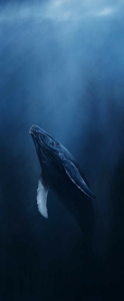 Humpback Whale Art, Whale Art Print, Whale Art, Humpback Whale, Art Print, Water, Art