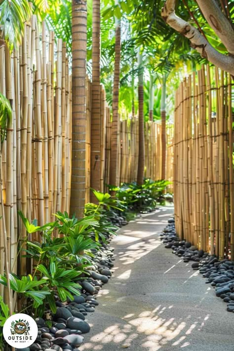 Bamboo Fences And Gates, Natural Fence Ideas Backyards, Bamboo Courtyard Garden, Extra Tall Privacy Fence Ideas, Garden Bamboo Ideas, Natural Privacy Fence Ideas, Privacy Fence Ideas On A Budget, Tropical Pathway, Bamboo Walkway