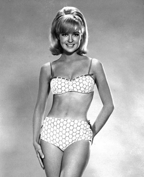 Shelley Fabares Shelley Fabares, Bathing Suit Collection, Jacqueline Bisset, Silver Screen, Girl Next Door, Bathing Suits, Blonde, Actresses