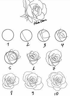 Hur Man Ritar Blommor, Tattoo Sunflower, Tattoo Mermaid, Draw A Rose, Rose Step By Step, Eine Rose, Istoria Artei, Couple Drawing, Flower Drawing Tutorials