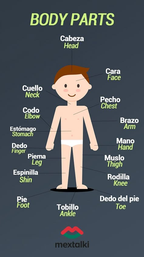 Spanish For Healthcare, Spanish Filler Words, Learning Mexican Spanish, Learn Mexican Spanish, Spanish Vocabulary List, Body Parts In Spanish, Medical Spanish, Spanish Tips, Beginner Spanish Lessons